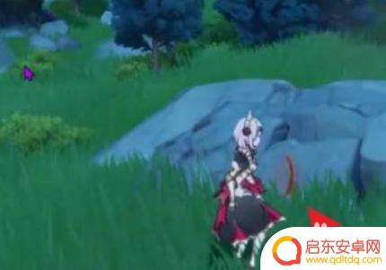 在原神中怎样获得宠物 原神如何获得宠物