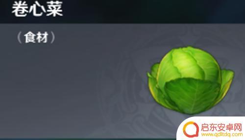 原神包菜如何获取 原神卷心菜在哪里购买