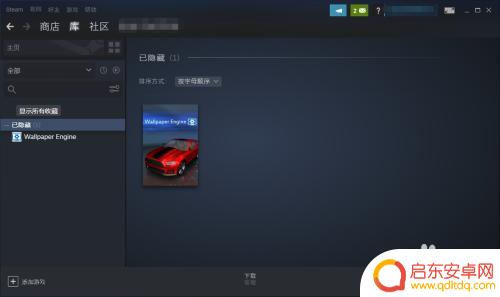 steam在哪里看隐藏游戏 Steam隐藏游戏在哪个文件夹