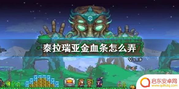 泰拉瑞亚金血果怎么挖 《泰拉瑞亚》如何获得金血条