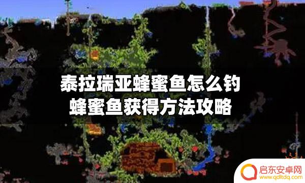 泰拉瑞亚蜜蜂鱼要用什么钓 泰拉瑞亚蜂蜜鱼怎么钓