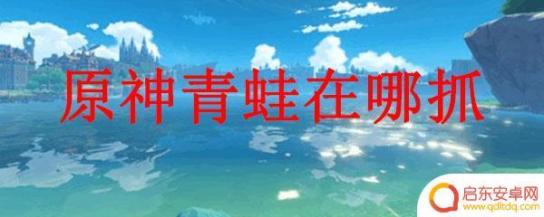 原神的青蛙在哪里找 原神青蛙在哪里抓多