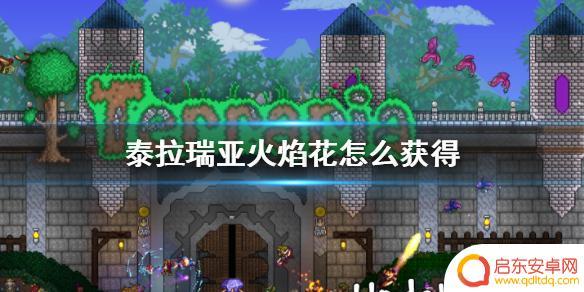 泰拉瑞亚怎么样获得火焰 《泰拉瑞亚》火焰花怎么获得