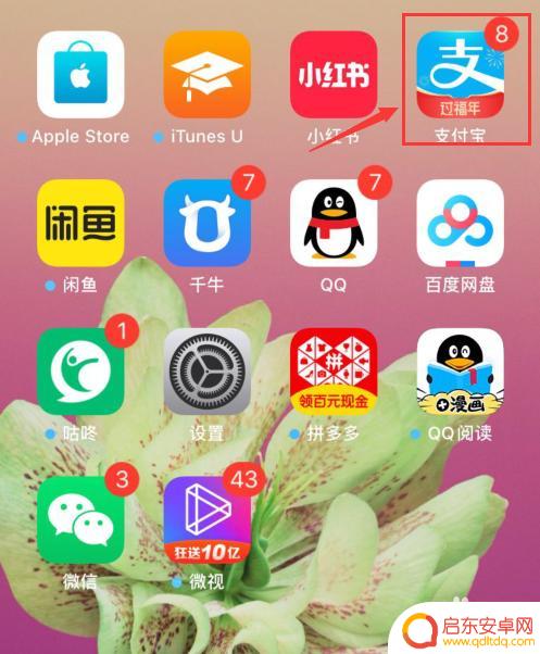 手机如何缴费流量费 纯流量卡充值技巧