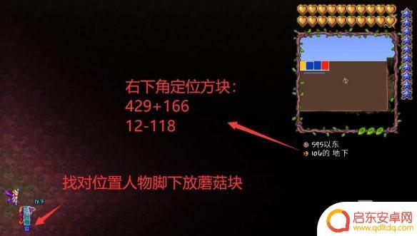 手游泰拉瑞亚钓鱼场攻略 《泰拉瑞亚》多环境刷怪渔场建造攻略
