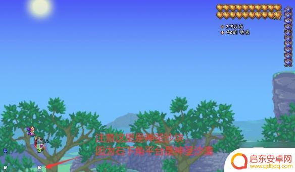 手游泰拉瑞亚钓鱼场攻略 《泰拉瑞亚》多环境刷怪渔场建造攻略