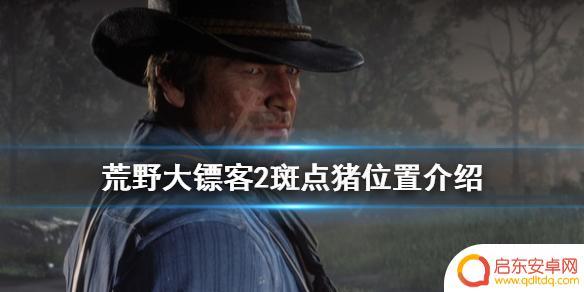 荒野大镖客2猪哪去卖 如何在《荒野大镖客2》中找到斑点猪