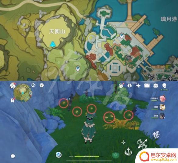 原神金蝶采集路线 《原神》晶蝶捕捉密集点位置图