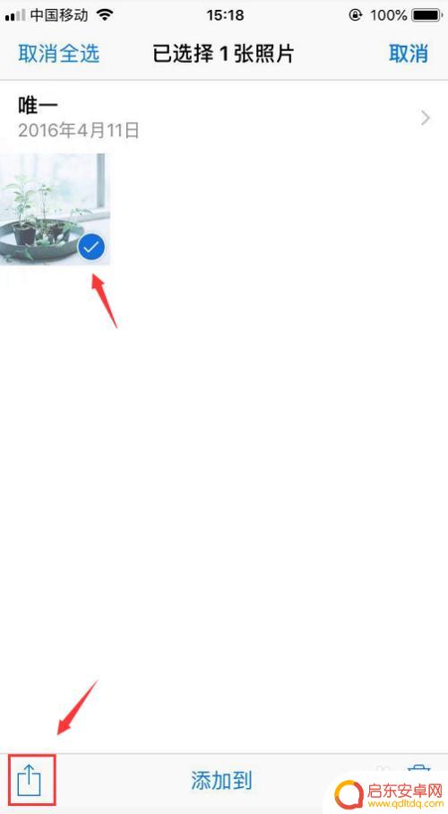 苹果手机如何能复制照片 iPhone怎么在相簿中选择并复制多张照片