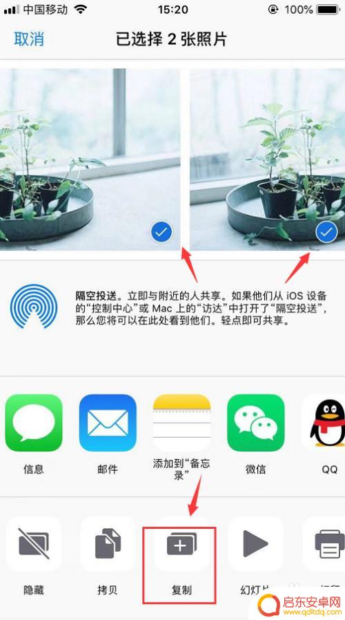 苹果手机如何能复制照片 iPhone怎么在相簿中选择并复制多张照片