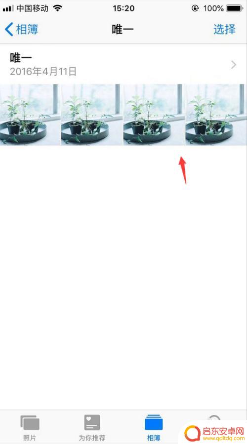 苹果手机如何能复制照片 iPhone怎么在相簿中选择并复制多张照片