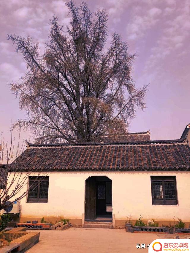 清明缅怀先祖抖音(清明缅怀先祖抖音视频)