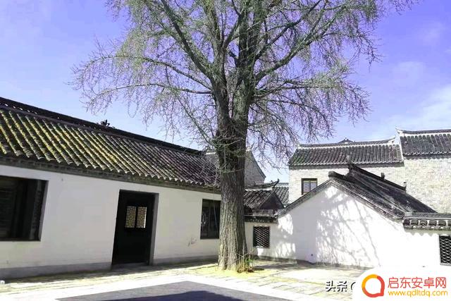 清明缅怀先祖抖音(清明缅怀先祖抖音视频)