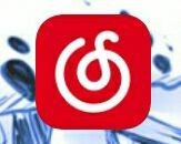 手机网易云歌词怎么弄出来 网易云手机版歌词显示方法