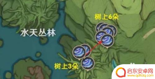树王圣体姑原神寻找攻略 原神树王圣体菇获取攻略