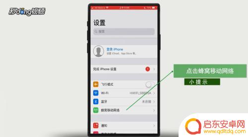苹果手机该怎么设置网络 苹果手机网络设置教程