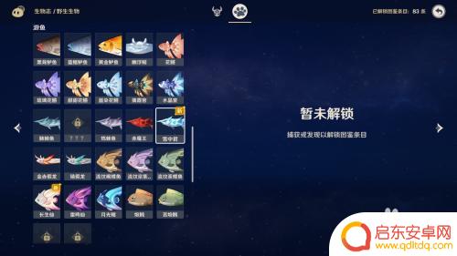原神钓的鱼在哪里看 原神自己钓了多少种鱼怎么查看