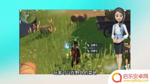 原神胡萝卜在哪有? 原神白萝卜在哪里刷