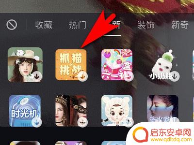 躲猫猫挑战怎么拍 抖音拍摄抓猫挑战教程