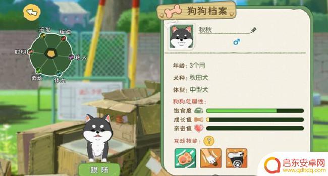 小森生活如何提高狗狗亲密度 小森生活狗狗亲密度上限突破