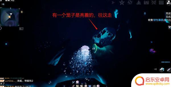幻塔怎么让水母进到笼子 幻塔水母洞解密攻略