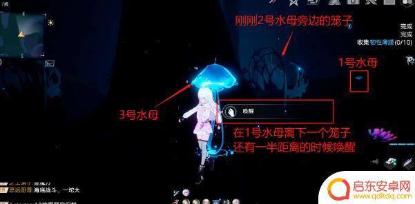 幻塔怎么让水母进到笼子 幻塔水母洞解密攻略