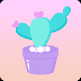 互动桌面app