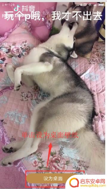如何用视频做手机主题 手机壁纸如何设置为喜欢的视频