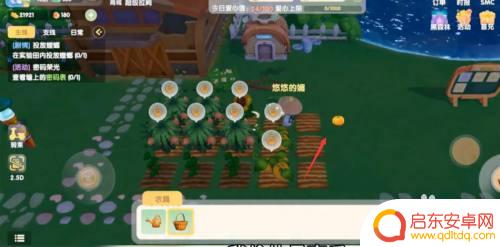 摩尔庄园怎么偷菜 摩尔庄园怎么偷菜攻略