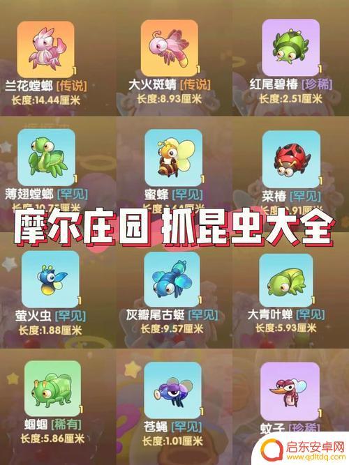 摩尔庄园怎么抓昆虫 摩尔庄园昆虫捕捉经验
