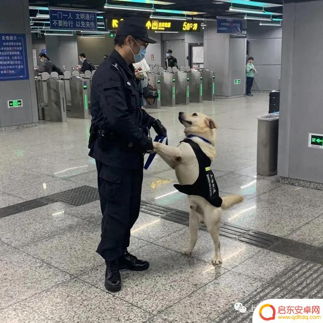 抖音地铁上车直播(抖音地铁上车直播是真的吗)