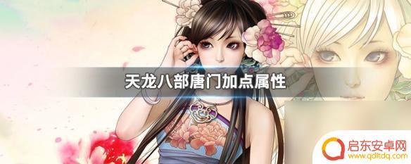 天龙八部唐门加什么属性点 新天龙八部唐门加点攻略