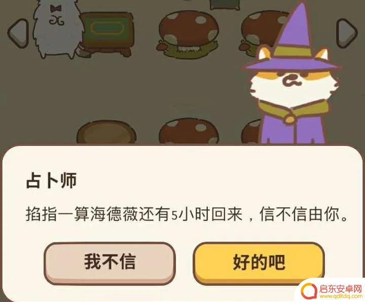 动物餐厅怎么查看海德薇回来时间 动物餐厅海德薇离开还有多久才回来