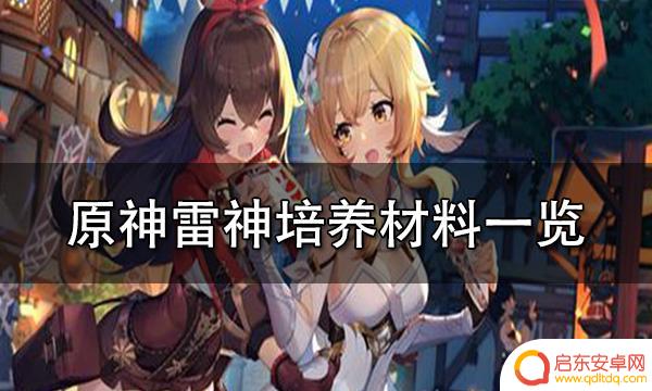 原神雷神需要什么材料 原神雷神培养需要哪些材料