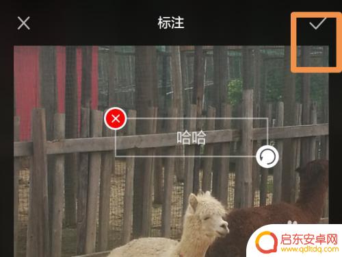 手机里的照片怎么加文字 手机照片上添加文字