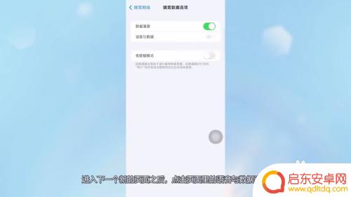 iphone开4g模式 苹果13设置4G网络的步骤
