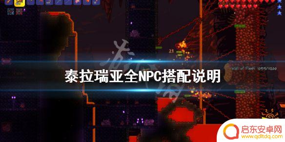 泰拉瑞亚NPC晶塔住房分配方法及技巧