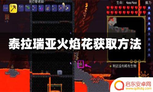 火焰花怎么做泰拉瑞亚 泰拉瑞亚火焰花种植方法