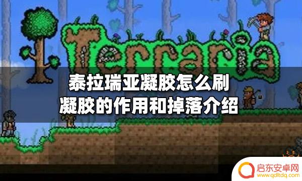泰拉瑞亚 纯净凝胶 泰拉瑞亚凝胶的作用和用途介绍