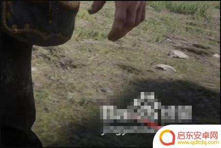 荒野大镖客2包里(荒野大镖客2包里的动物会腐烂吗)