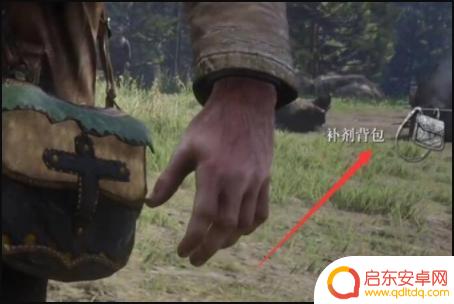 荒野大镖客2包里(荒野大镖客2包里的动物会腐烂吗)