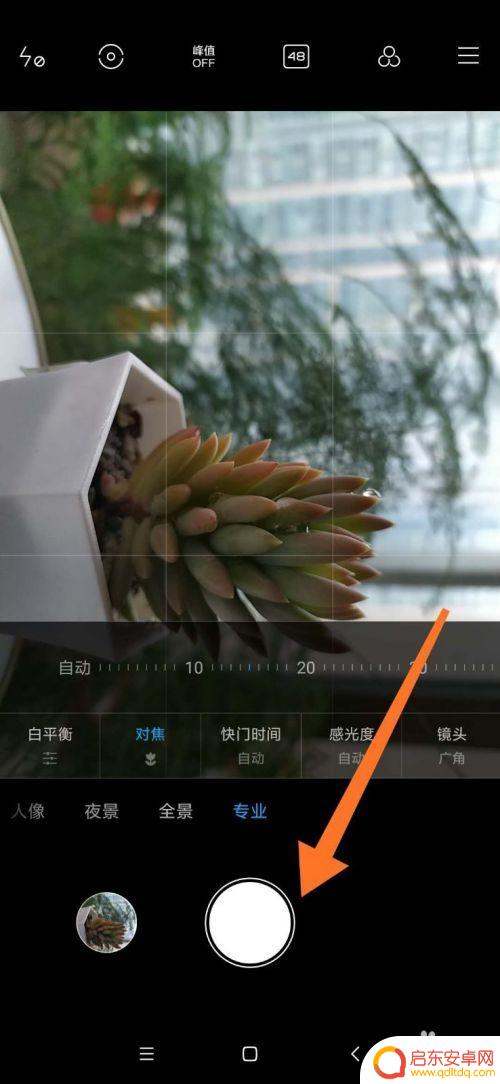 小米手机拍花特写怎么设置 小米手机如何优化春季植物特写拍摄效果