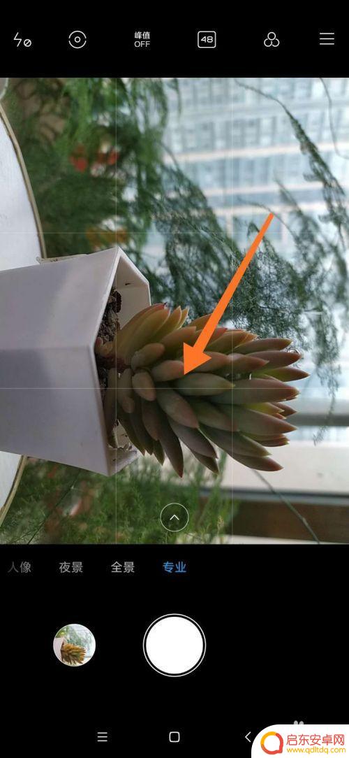 小米手机拍花特写怎么设置 小米手机如何优化春季植物特写拍摄效果
