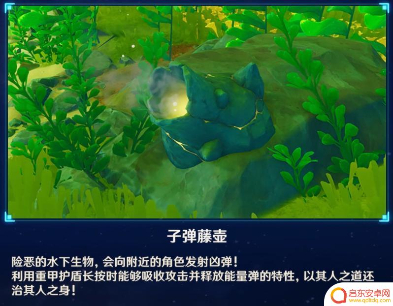 原神怎么打破藤壶 原神子弹藤壶打破攻略