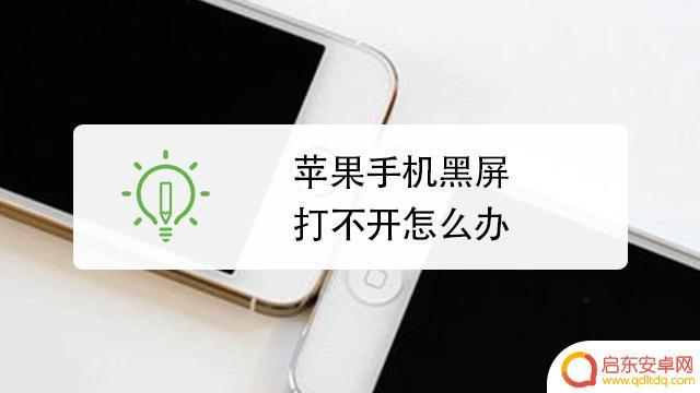 苹果x手机突然黑屏了但是有声音怎么办 苹果手机黑屏有声音无法开机怎么办