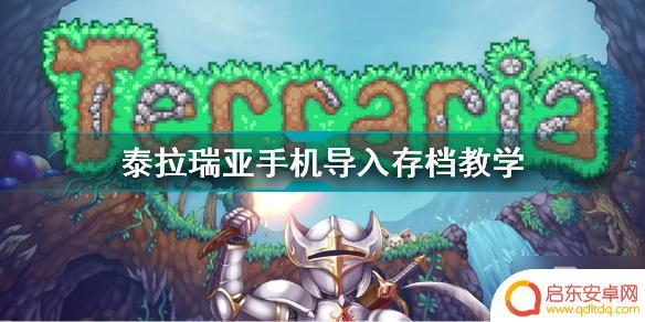 泰拉瑞亚 存档导入 如何在手机上导入《泰拉瑞亚》存档