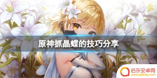 原神哪个角色抓晶蝶 抓晶蝶的高效技巧分享