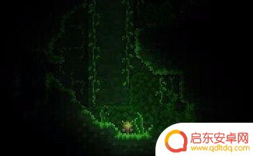 泰拉瑞亚淤泥上种不了月光草 泰拉瑞亚月光草生长时间
