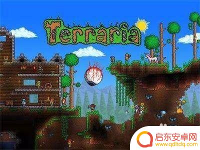 泰拉瑞亚淤泥上种不了月光草 泰拉瑞亚月光草生长时间