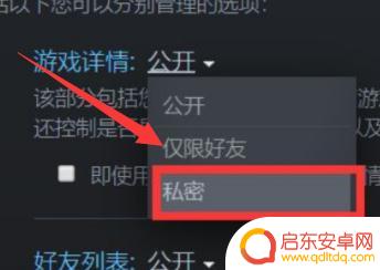 steam个人主页怎么隐藏 steam个人游戏动态如何隐藏